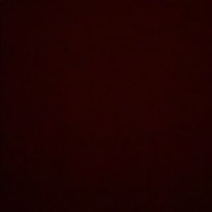 Meet your Posher, Dawtyn